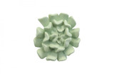 Phillips Collection Topsy Turvy Succulent Wall Tile, Light Jade, 11"W (PH104153 YV0J07W6TD) 