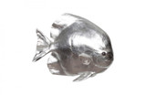 Phillips Collection Fish Wall Sculpture, Australian Bat Fish, Silver Leaf, 21"W (PH64557 YV0J07T33L) 