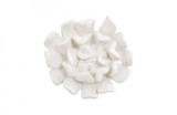 Phillips Collection Topsy Turvy Succulent Wall Tile, White, 11"W (PH104152 YV0J07W6TE) 