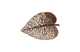 Phillips Collection Birch Leaf Wall Art, X-Small, Copper, 14"W (TH108529 YV0J07T34Z) 