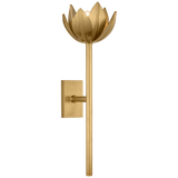 Visual Comfort & Co. Signature Collection Alberto Medium Sconce, Visual Comfort & Co. Signature Collection JN 2002AB D93V2 