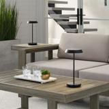 Visual Comfort & Co. Modern Collection Tepa Accent Rechargeable Table Lamp 