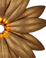 Currey and Company Alithea Single Wall Sconce 