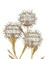 Currey and Company Dandelion Silver & Gold Floor Lamp 