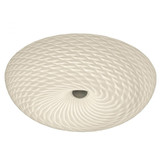 Varaluz Swirled 2-Lt Medium Flush Mount - French Feather, Varaluz AC1583 YV0K03YM9V 