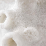 Arteriors Home Ursula Sculpture 