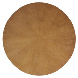 Arteriors Home Blaine Coffee Table 