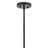 Hinkley Eloise Large Pendant Black 