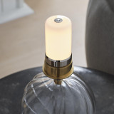 Visual Comfort & Co. Signature Collection Talia 13" Cordless Accent Lamp, Visual Comfort & Co. Signature Collection JN 3109CG-L-CL DD7ED 