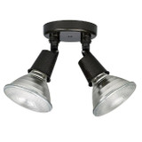 Outdoor Flood Light, 2-Light, Rich Bronze, 4"H