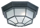 Outdoor Flush Mount, 2-Light, Black, Frosted Glass, 11.25"W