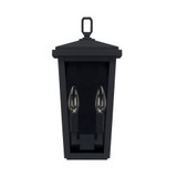 Donnelly Outdoor Wall Lantern, 2-Light, Black, Clear Glass, 14.75"H