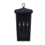 Donnelly Outdoor Wall Lantern, 3-Light, Black, Clear Glass, 24"H