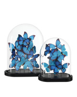 Currey and Company Rue de Bac Large Butterflies 