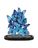 Currey and Company Rue de Bac Large Butterflies 