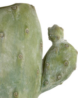 Currey and Company Cactus Table Lamp 
