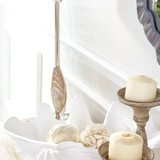 Clam Shell Bowl Sculpture