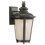 One Light Outdoor Wall Lantern, Generation Lighting - Seagull 88241-780 AKHH