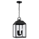 Capital Nelson Outdoor Hanging Lantern 