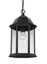 One Light Outdoor Pendant, Generation Lighting - Seagull 6238701-12 9VL8M