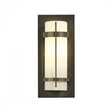 Banded Outdoor Wall Sconce, 1-Light, Coastal Burnished Steel, Opal Glass, 16"H (305893-SKT-78-GG0034 3WHV0F)
