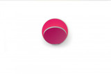 Gravy Wall Sconce, Plug In, LED, Silver, Matte Hot Pink Plate, 5"H (GRW-S-SIL-MHP-PI 407UFMM)