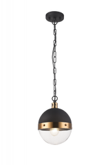 Torino Pendant, 1-Light, Brass, 8"W (C61801AGCL 305XK1L)
