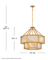 Hinkley Sura Medium Convertible Chandelier 
