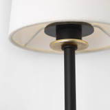 Visual Comfort & Co. Signature Collection Lucia 21" Cordless Sconce, Visual Comfort & Co. Signature Collection JN 2052MBK/CG-L-CL N1W8D 