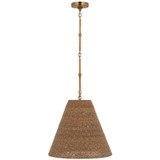 Visual Comfort & Co. Signature Collection Goodman Medium Hanging Light, Visual Comfort & Co. Signature Collection TOB 5091HAB-TST N1X6H 