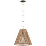 Visual Comfort & Co. Signature Collection Goodman Medium Hanging Light, Visual Comfort & Co. Signature Collection TOB 5091BZ/HAB-NAB N1Y75 