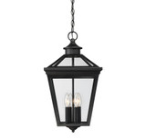 Ellijay Outdoor Hanging Lantern, 4-Light, Black, Glass Shade, 20.75"H, Savoy House (5-145-BK 1MV37)
