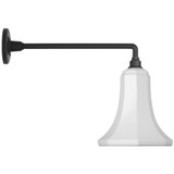 Visual Comfort & Co. Signature Collection Academy 17.5" Mack Barn Light, Visual Comfort & Co. Signature Collection TOB 2812MBK/S9-WHT N2311 