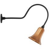 Visual Comfort & Co. Signature Collection Academy 26" Angled Flynn Barn Light, Visual Comfort & Co. Signature Collection TOB 2803MBK/S8-SC N24ZC 