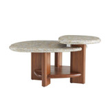 Arteriors Home Forney Coffee Table 