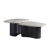 Arteriors Home Melt Coffee Tables, Set of 2 
