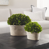 Oval Domes Preserved Boxwood, 2/Set, 12"H , Uttermost (60107 VCCK)