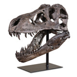 Tyrannosaurus Sculpture, Chestnut Brown, Matte Black, 20"H, Uttermost (19948 9M7MA)