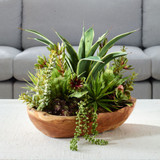 Salar Succulents In Teak Bowl, 20"H, Uttermost (60119 9Q7AL)
