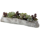 Charita Lush Succulents, 10"H,  Uttermost (60174 A3GXV)
