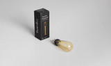  Buster + Punch Bulb, Gold BB-TD-E26-ND-GO-B YV3P04WL8R 