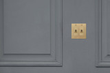  Buster + Punch 2G Toggle Switch, Logo, Brass 