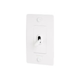  Buster + Punch 2G Toggle Switch, Logo, White 