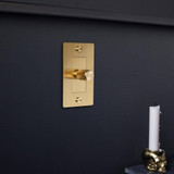  Buster + Punch 1G Incandescent Dimmer Switch, Without Logo, Brass 