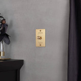  Buster + Punch 1G Incandescent Dimmer Switch, Without Logo, Smoked Bronze 