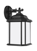 1-Light Outdoor Wall Lantern, Generation Lighting - Seagull 84531EN3-12 A1PK7