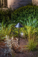 Springfield Path Light