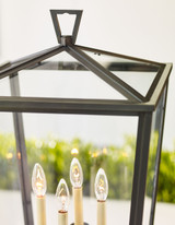 Darlana Post Outdoor Lantern, 4-Light, Bronze, Clear Glass, 31"H (CHO 7113BZ 2MYJU)
Visual Comfort & Signature Collection