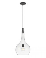 Hinkley Ziggy Globe Pendant Black with Clear Glass 