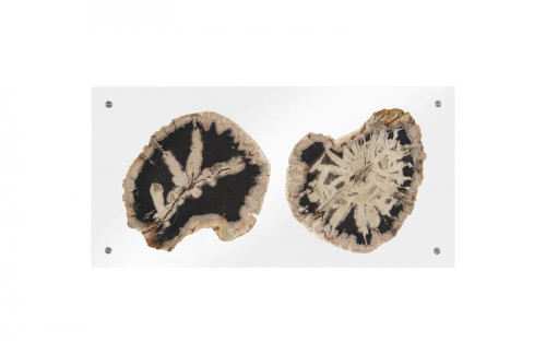 Phillips Collection Floating Wall Art, Double Slice, Wood, 24"H x 12"W x 2"D (ID97237 YV0J07T71X) 